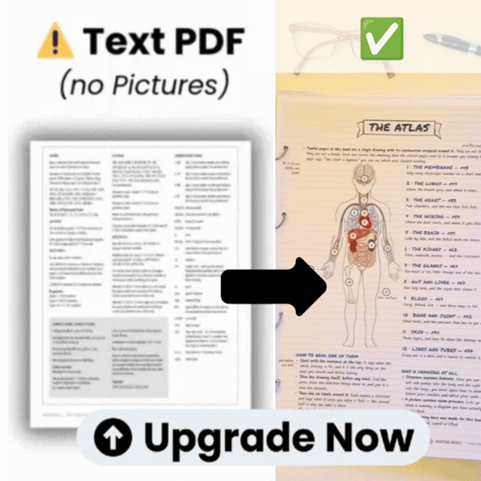 Upgrade From Advanced Black And White Notes To 1.000+ Colorful Beginner Friendly Notes