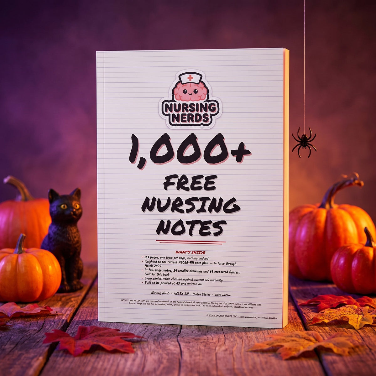 The 1,000+ Free Nursing Notes book with pumpkins, a black cat and a spider on a thread