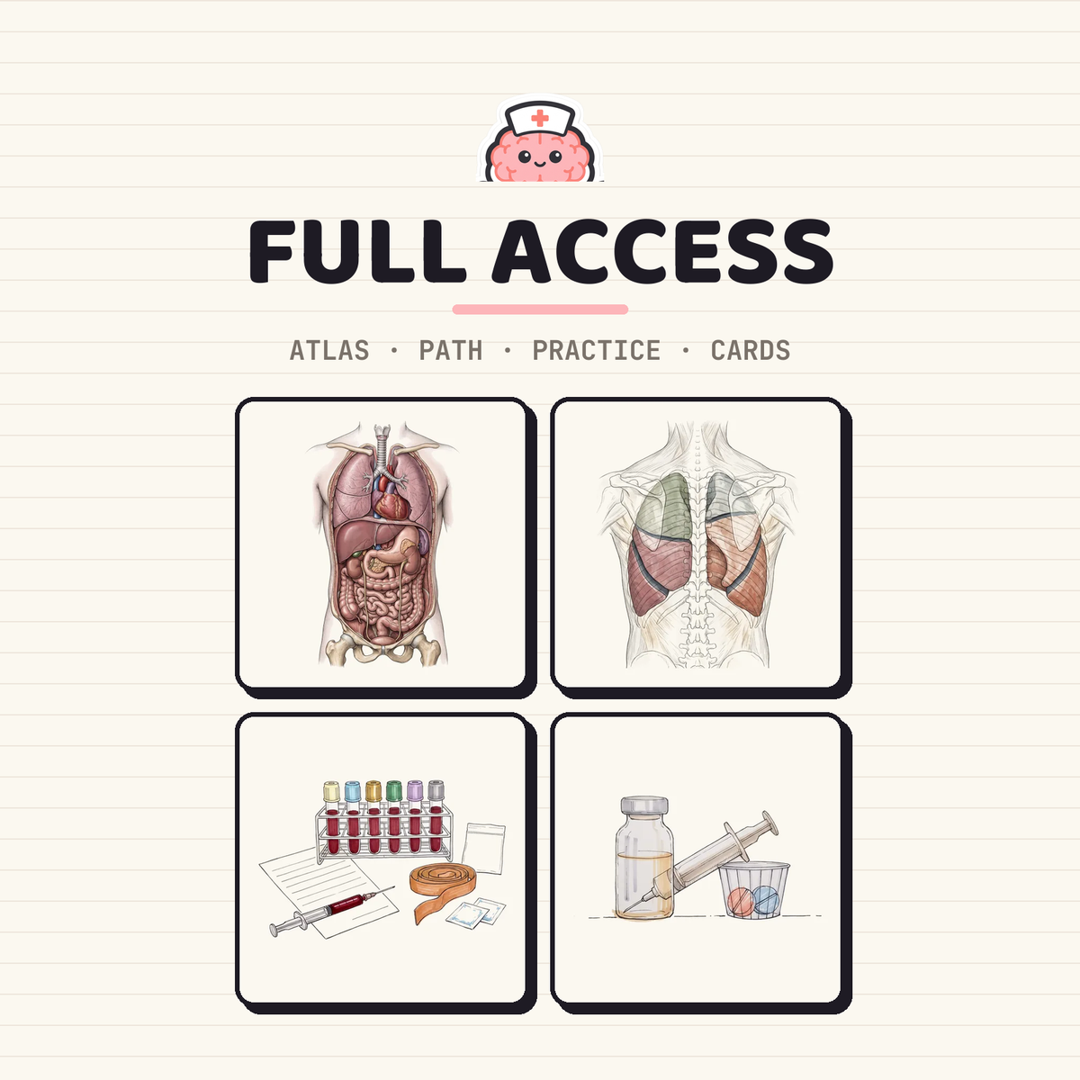 Full Access — the Nursing Nerds study tools: 3D human atlas, study path, practice questions and card decks