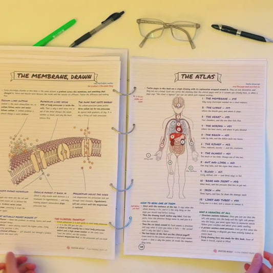 1,000+ Free Nursing Notes